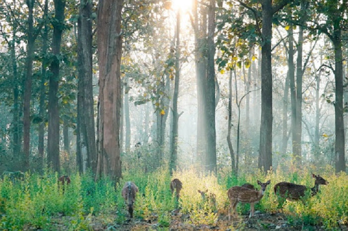 Kabini National Park