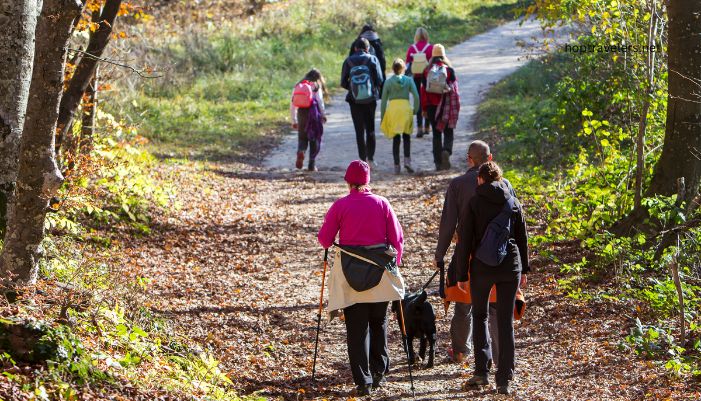 hiking trails