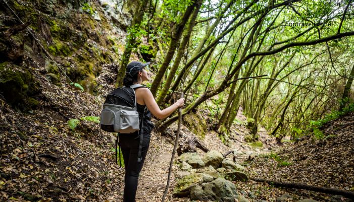 hiking trails